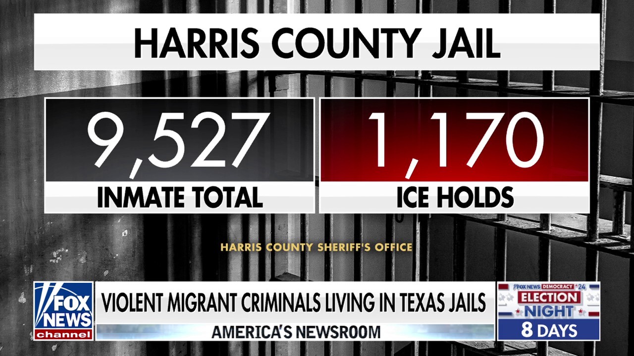 Records reveal ‘stunning’ number of violent migrant criminals in Texas jails