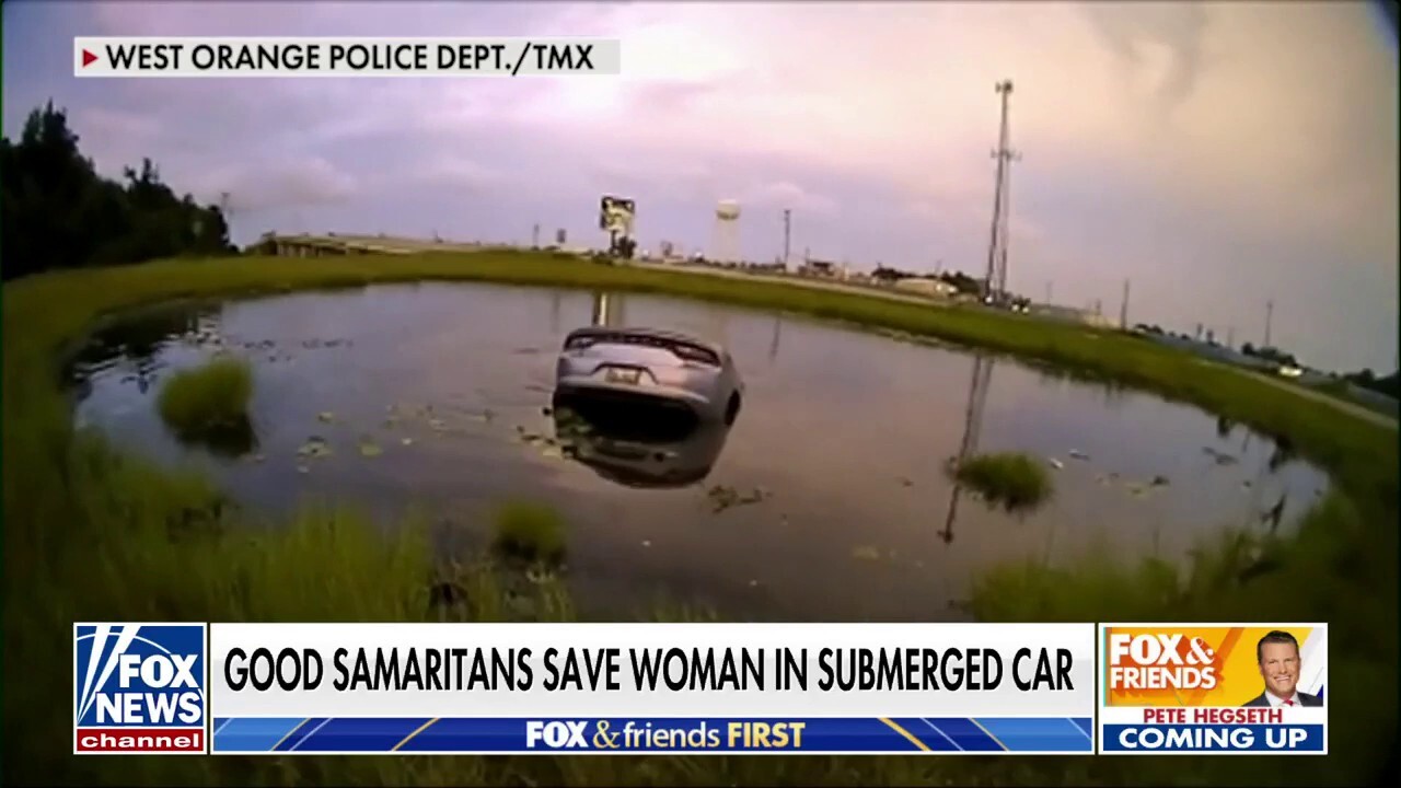 Police, Good Samaritans save mom in submerged car