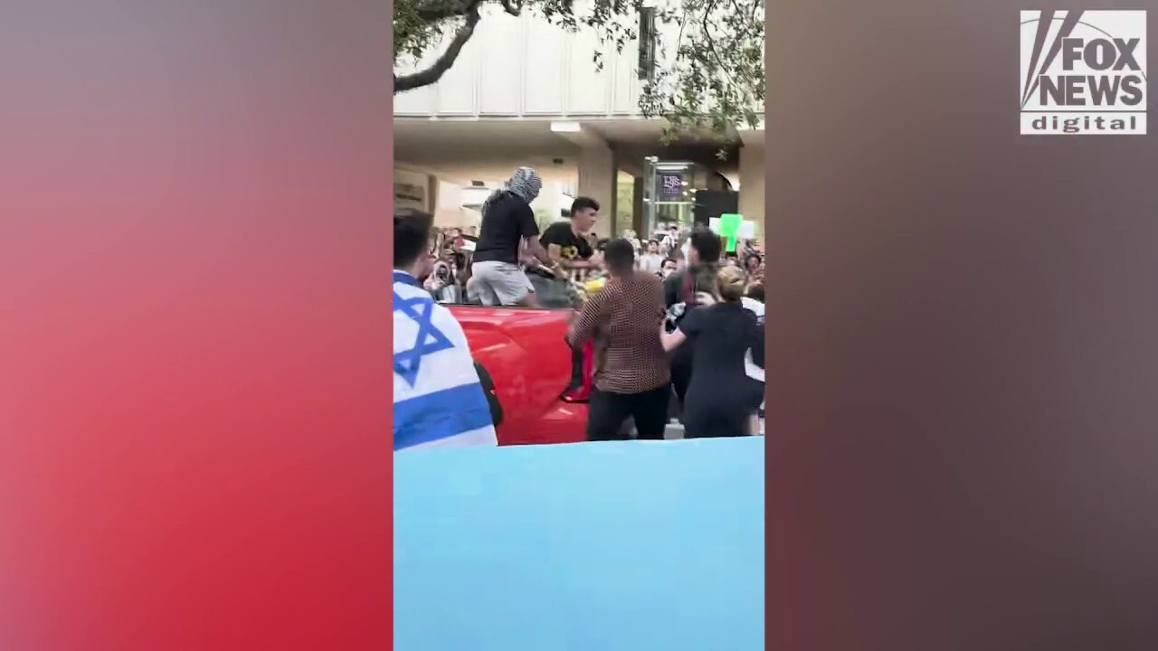 Tulane University student assaulted after attempting to prevent pro-Palestine protestor from lighting Israeli flag on fire