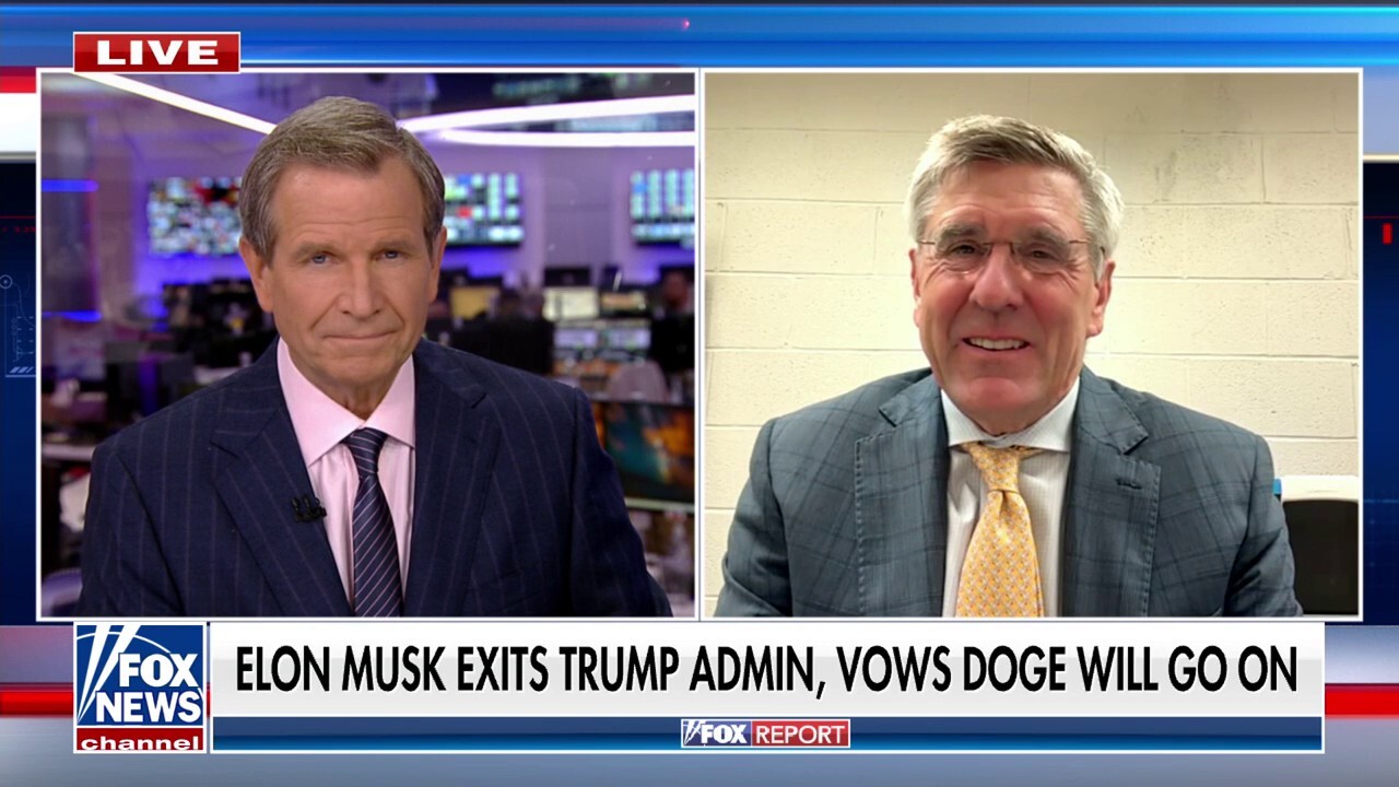 Steve Moore hopes DOGE becomes a ‘permanent,’ ‘bipartisan’ staple of the swamp