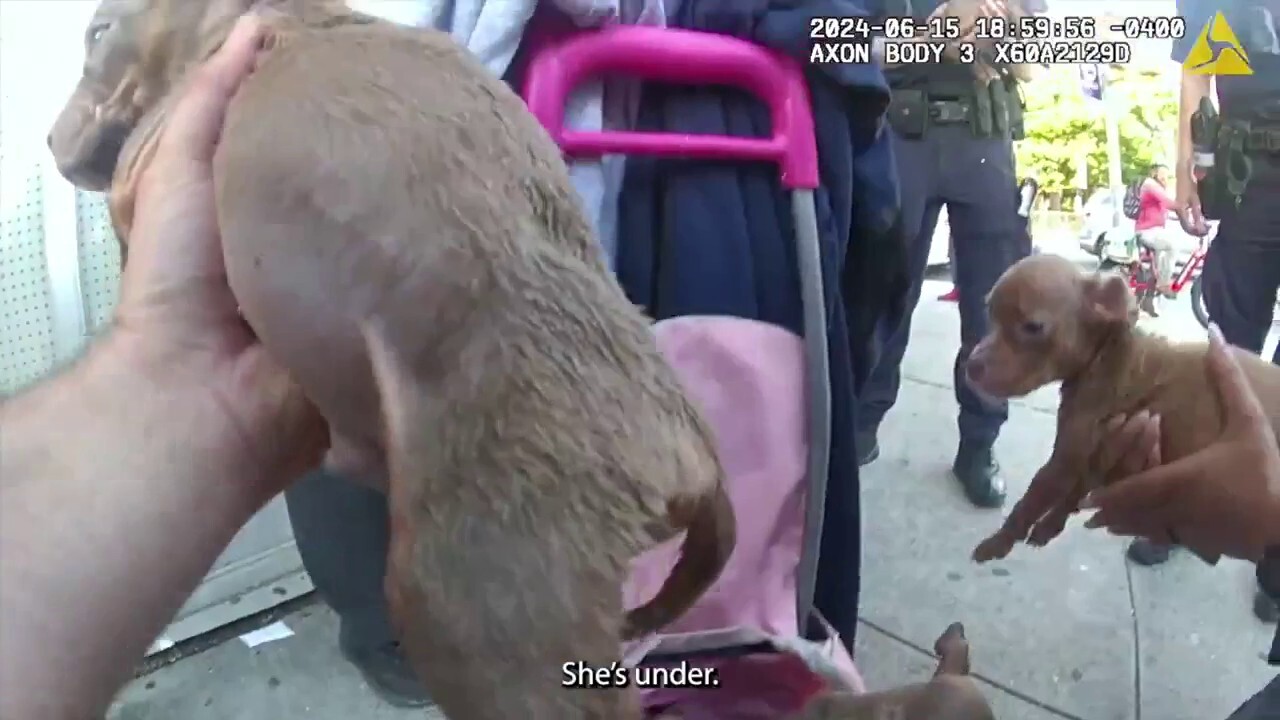 Жена е изправена пред обвинения в жестокост към животни след