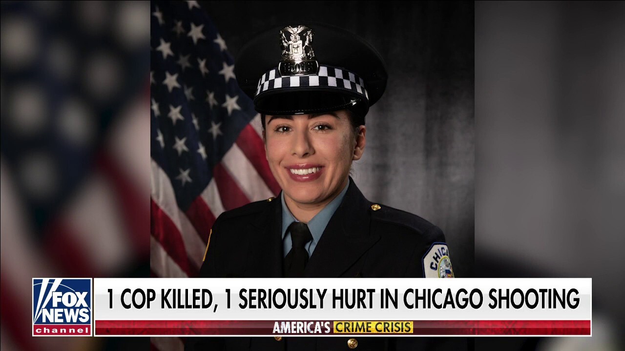 29-year-old Chicago police officer shot dead during traffic stop