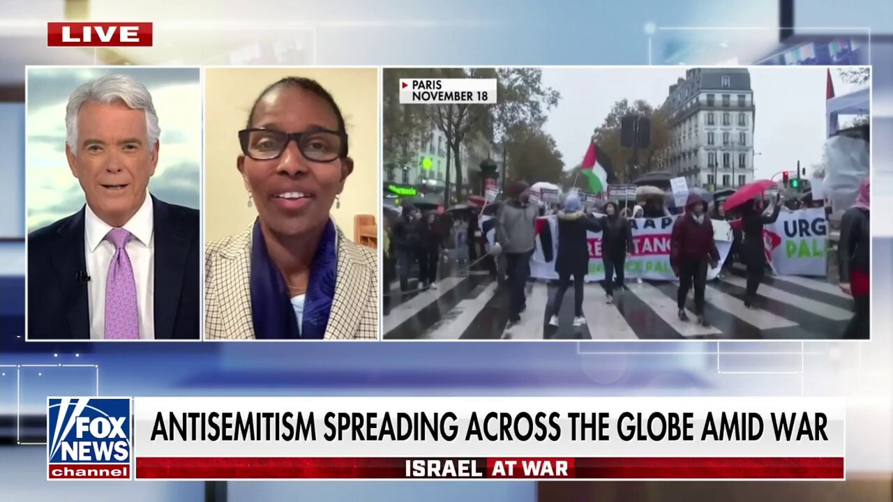 ‘Woke’ and ‘Islamist forces’ have ‘joined together’ to push antisemitism on campuses: Ayaan Hirsi Ali