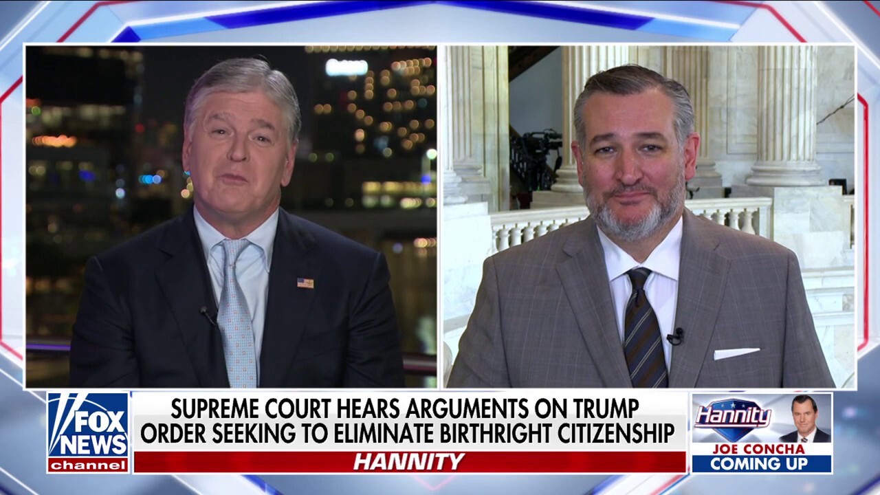 'ABUSE OF OUR LAWS': Ted Cruz discusses ending birthright citizenship