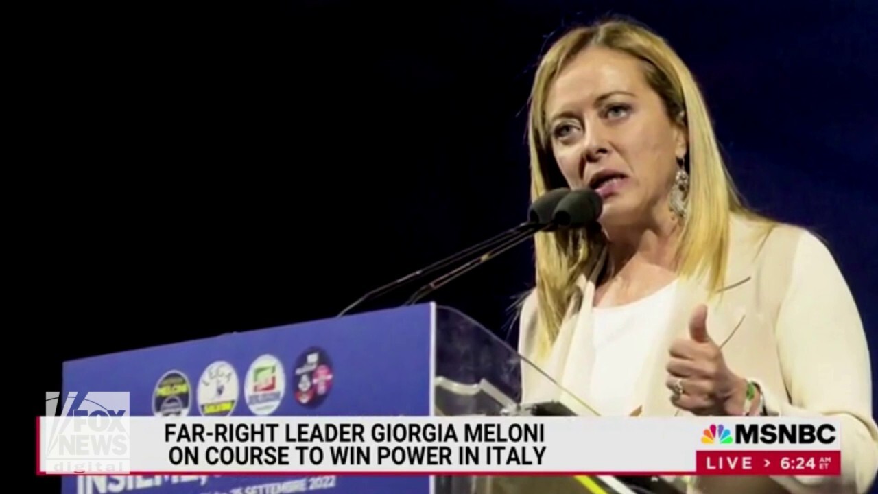 MSNBC guest warns that countries like Italy are tired of EU officials who 'don’t listen'