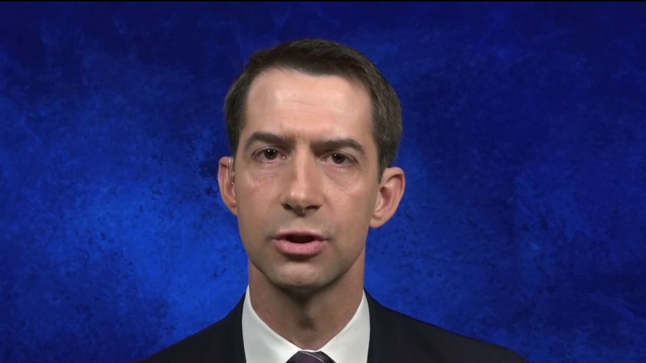 Sen. Tom Cotton: 'WHO is in the pocket of  China'