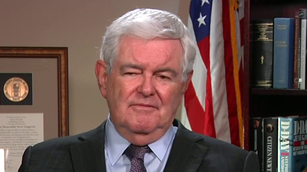 Gingrich: Georgia 'polls are wrong,' state not in play for Biden