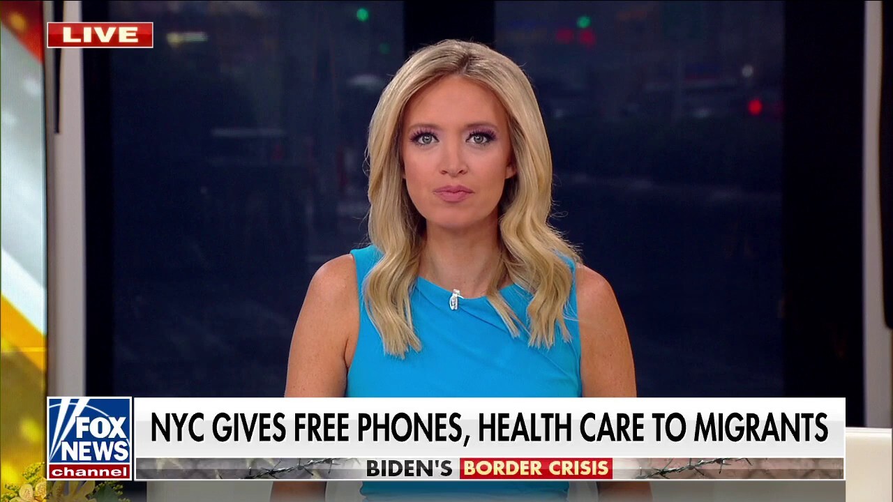McEnany warns of dangers of fentanyl coming across border: 'This issue is terrifying to me'
