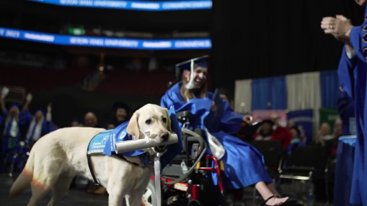 Service dog earns diploma at university graduation ceremony