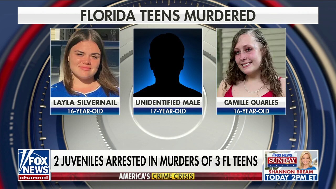 Two Florida juveniles arrested for 3 teen murders, ‘society failed these young people’: Ted Williams 