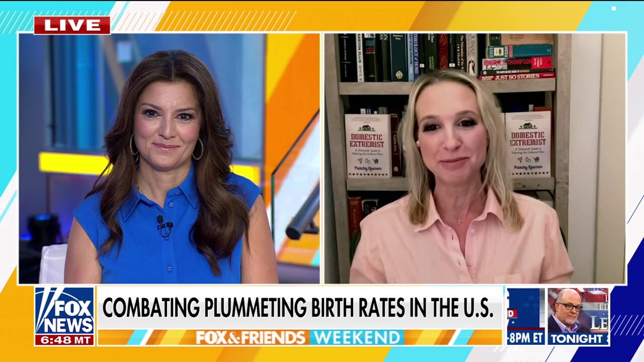 Mothers are ‘shunted’ to the bottommost  of the caste strategy   successful  America, writer  argues