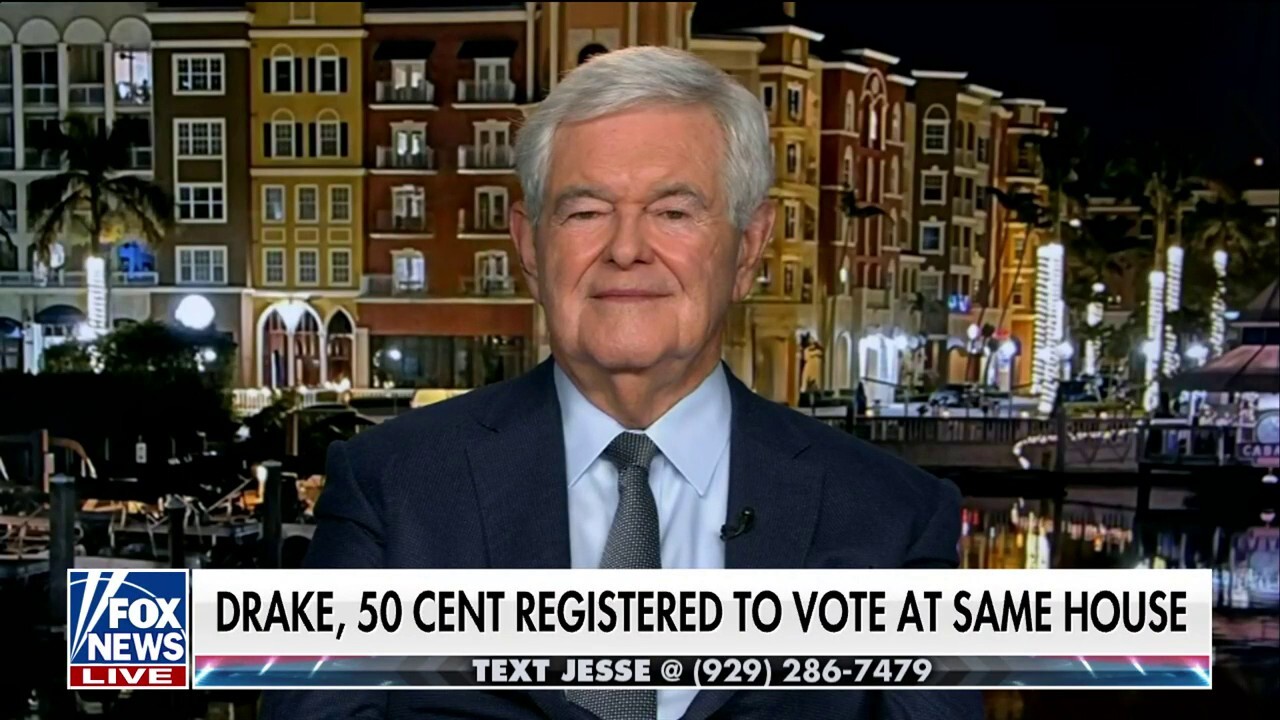 Newt Gingrich: Republicans need to outvote the Democrats to win