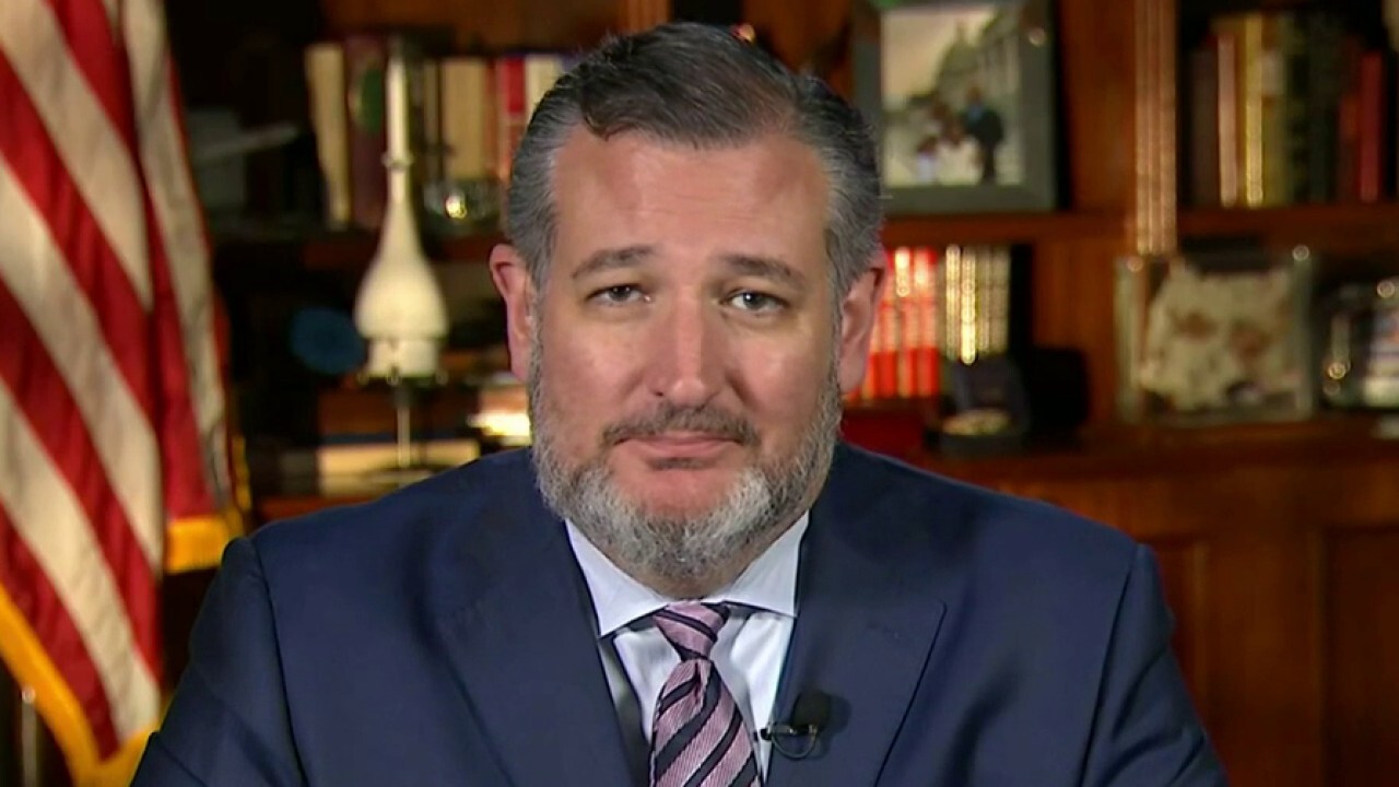 Ted Cruz on GOP's path forward: 'You win elections by having a positive vision'