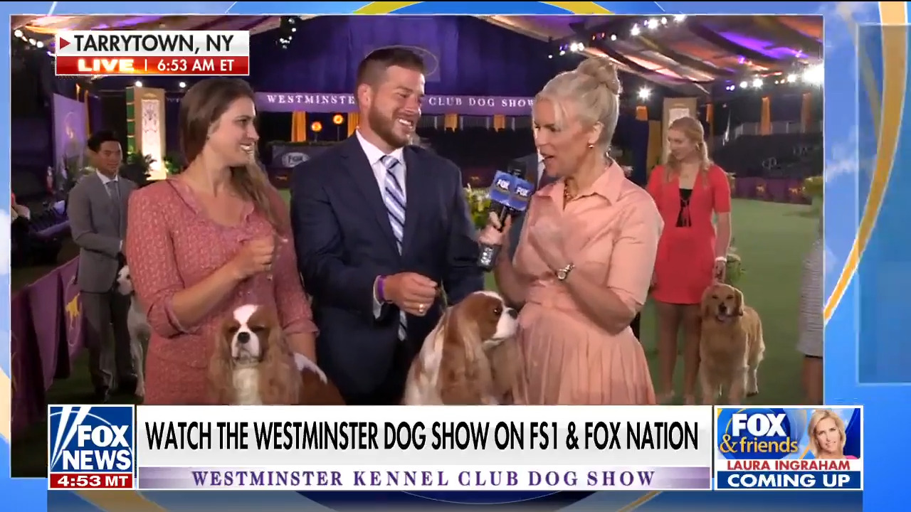 Westminster Dog Show 2022: Two trainers reflect on this year's show