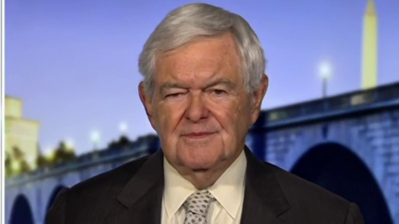 Newt Gingrich: 'The weird elements' of the Democratic Party are now dominant