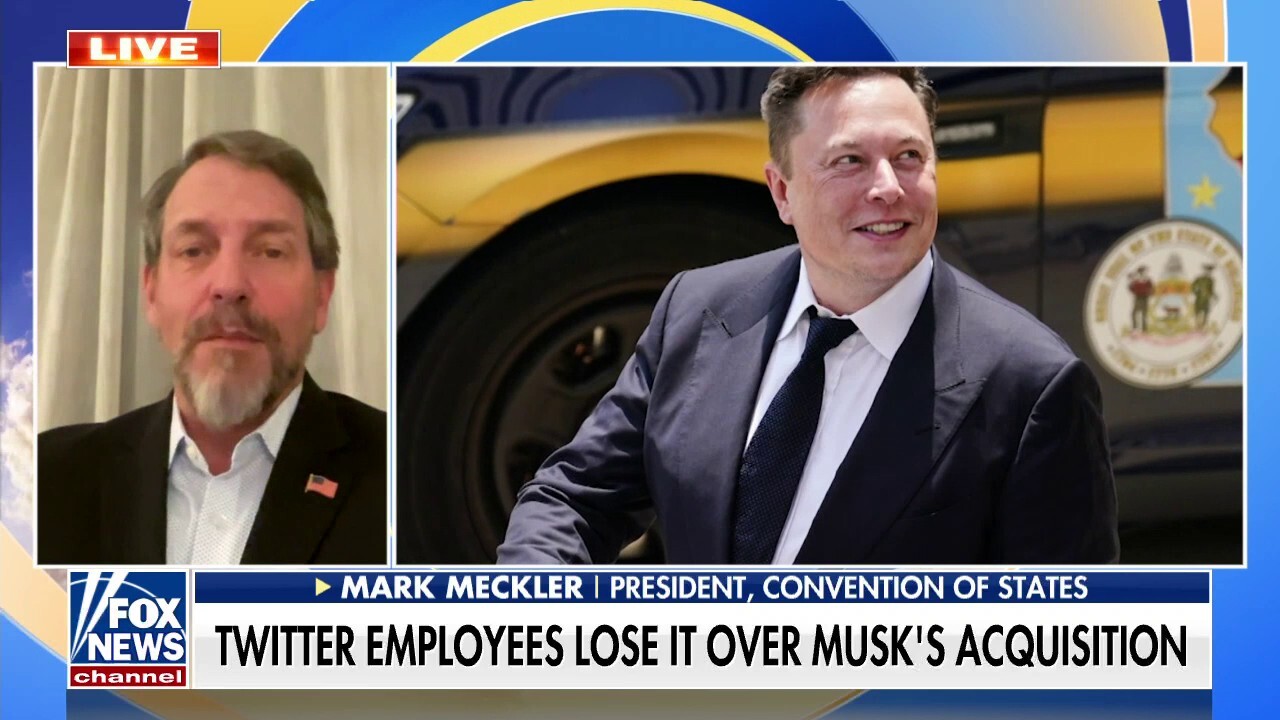 Twitter employees distraught over Elon Musk's Twitter purchase