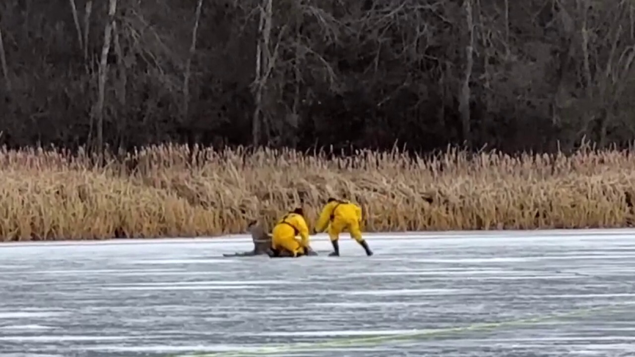 Пожарникарите бяха върху тънък лед - буквално - докато спасяваха