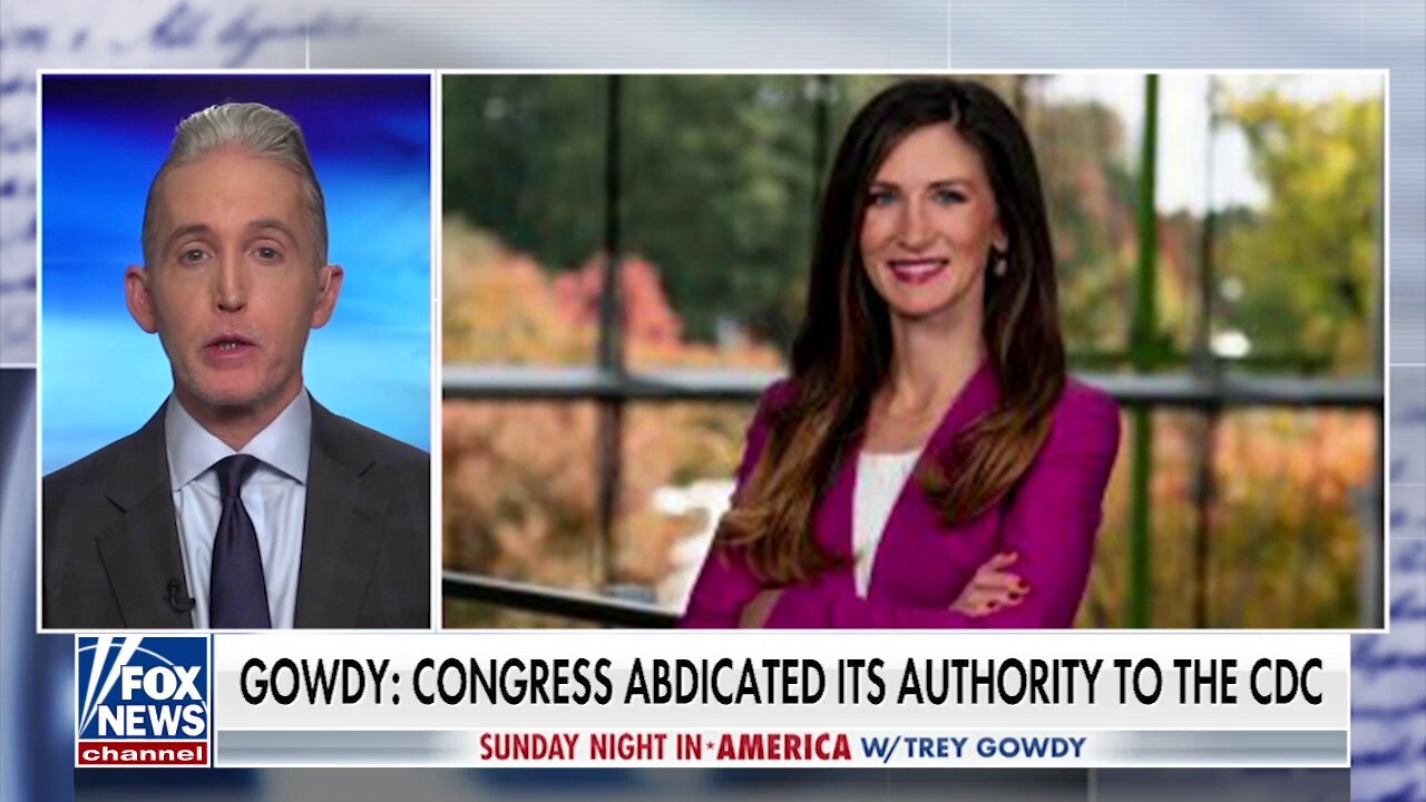 Gowdy slams media's reaction to federal judge's ruling dropping masks for public transport