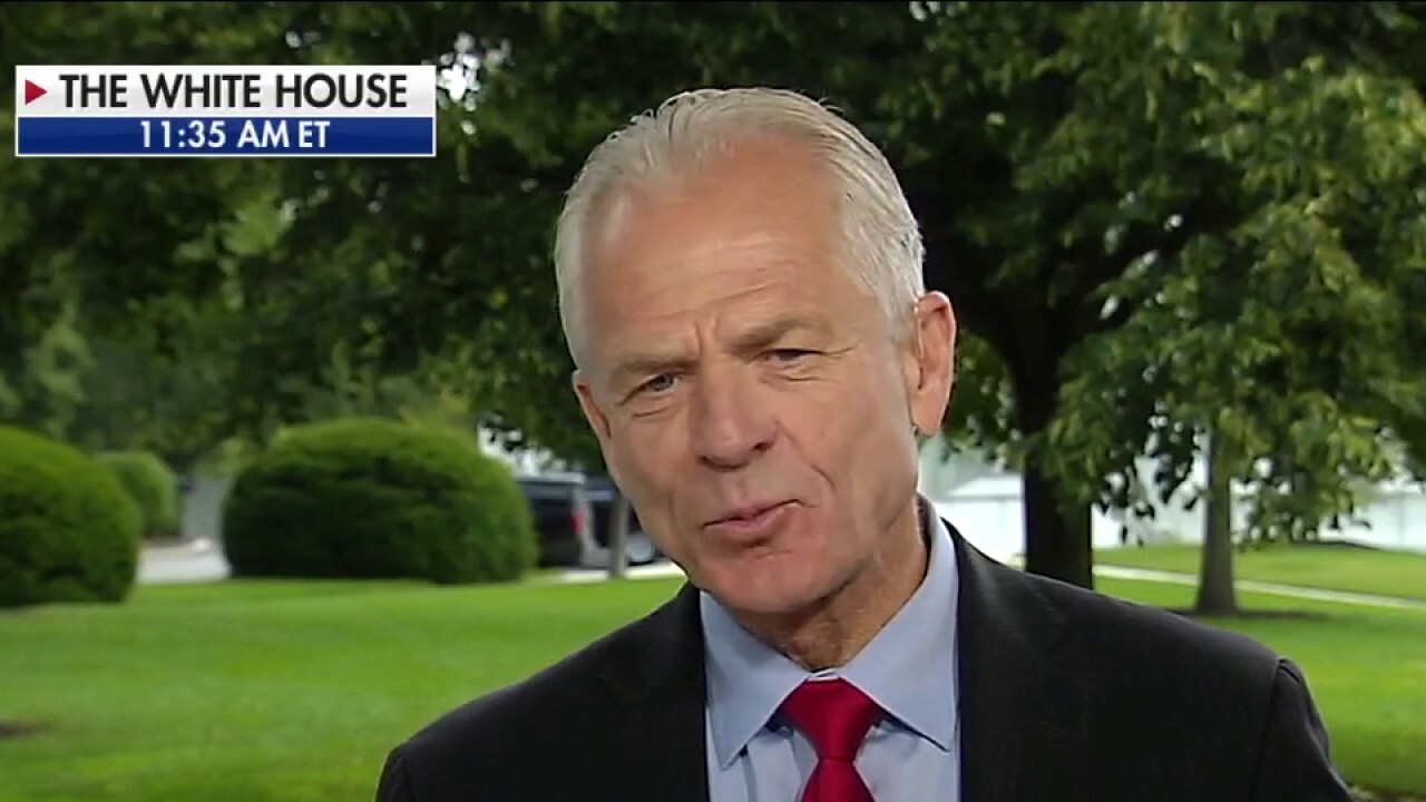 Peter Navarro, White House Trade Adviser, addresses confusion over whether there will be another round of stimulus