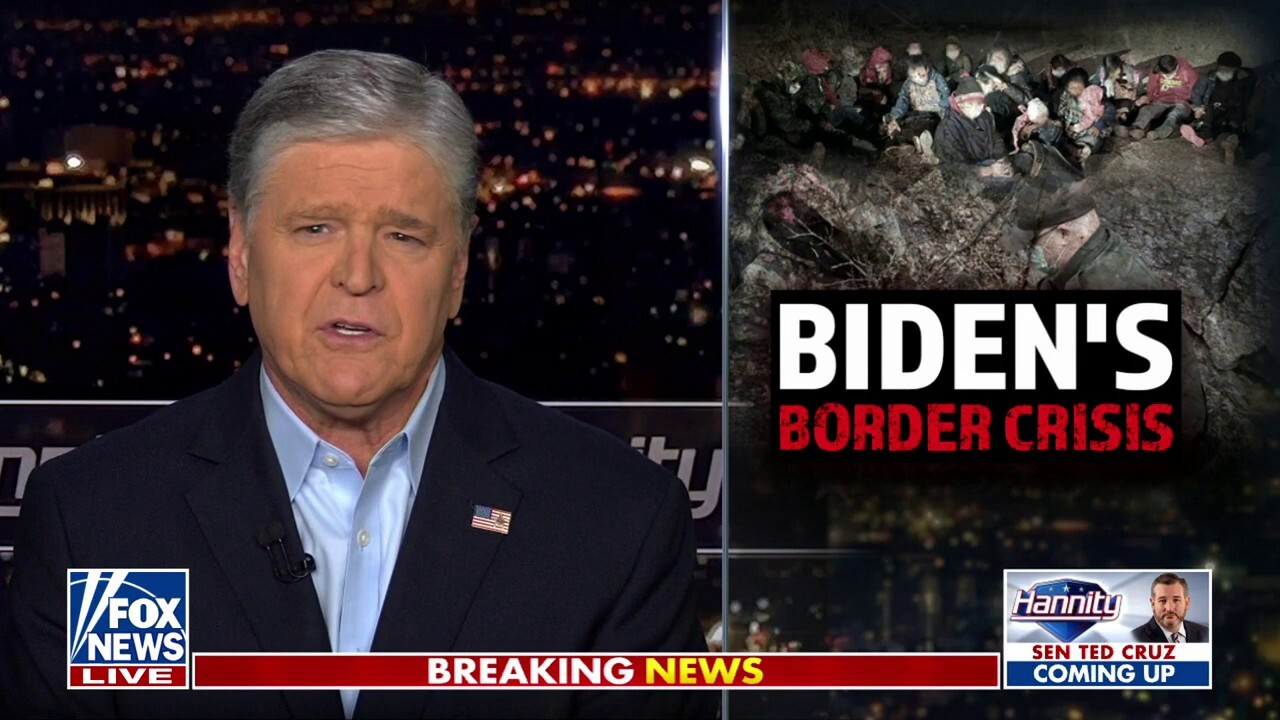 Водещият на Fox News Шон Ханити разкритикува граничната криза на