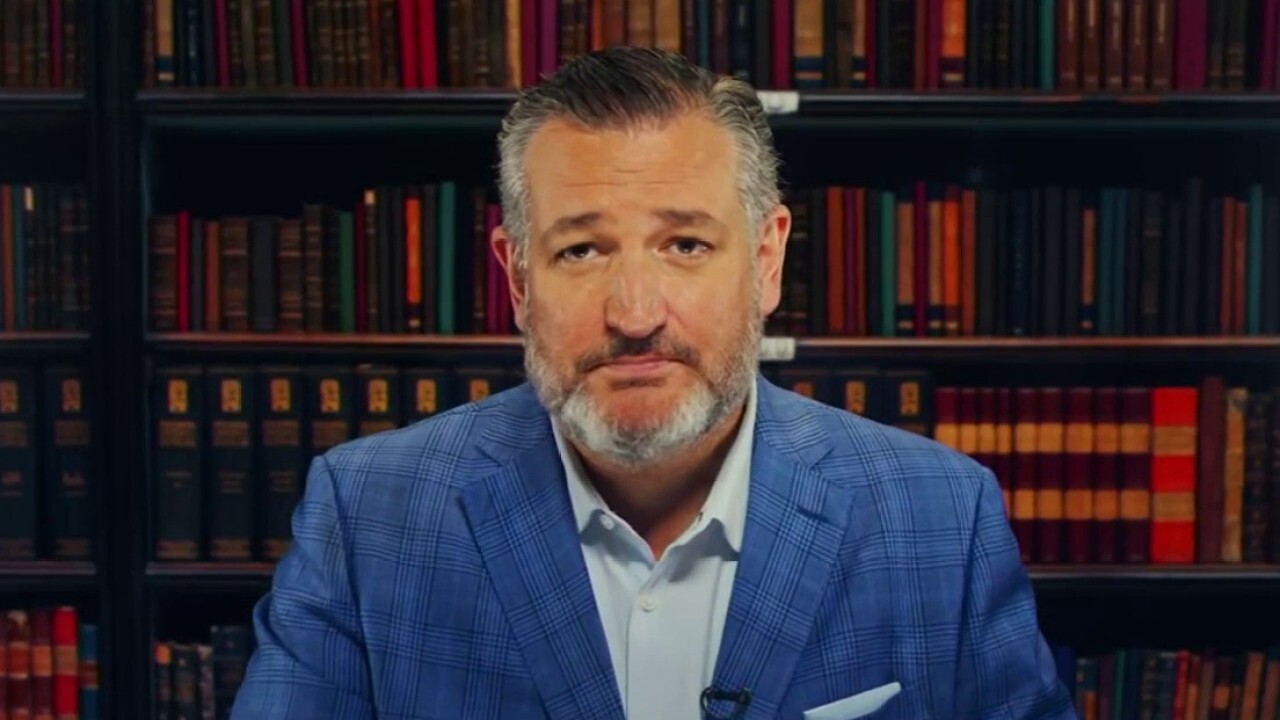 Ted Cruz says he's in the middle of an 'epic battle' as the radical left looks to take him out 