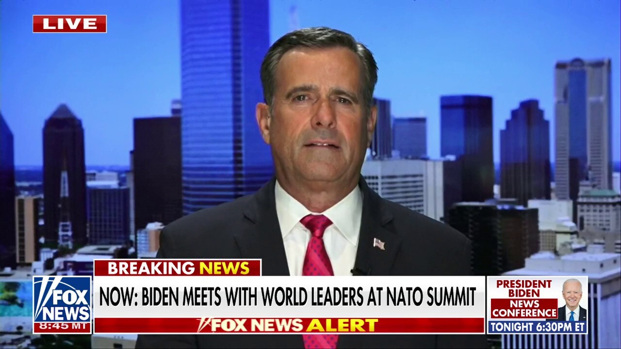 We've all suffered from Biden's presidency and capacity to lead: John Ratcliffe