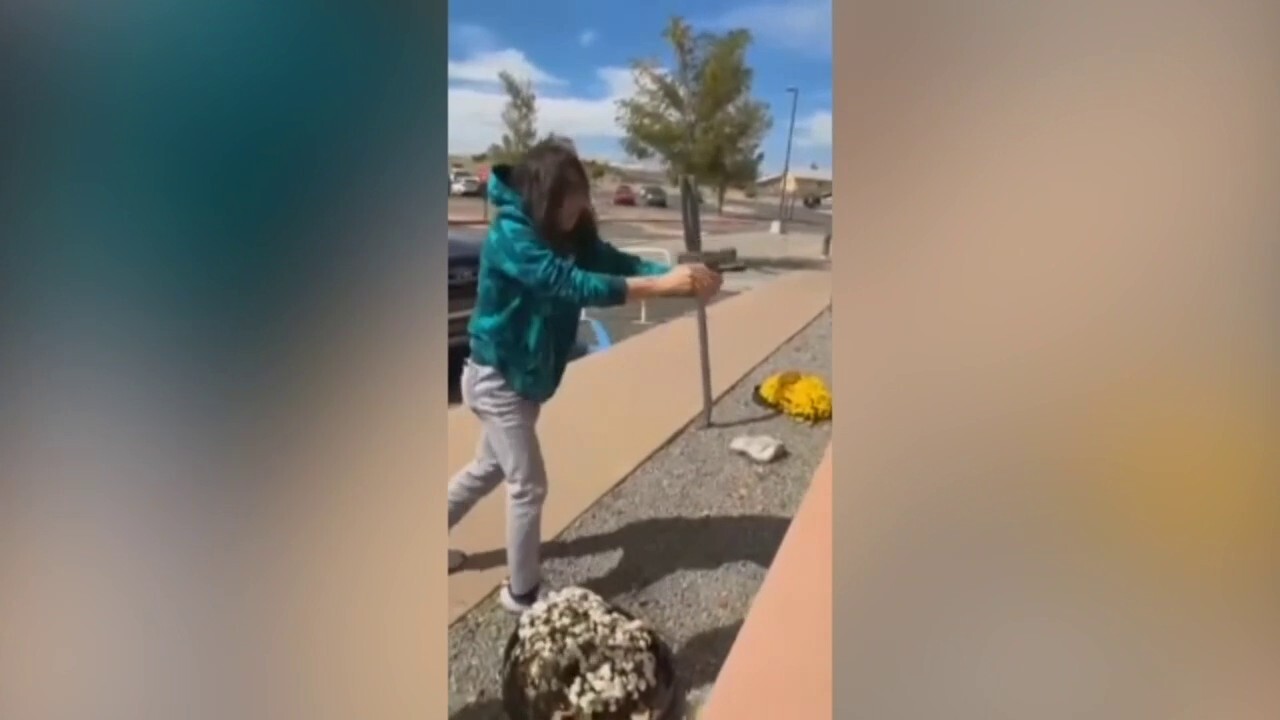 Shooting at New Mexico conquistador statue protest