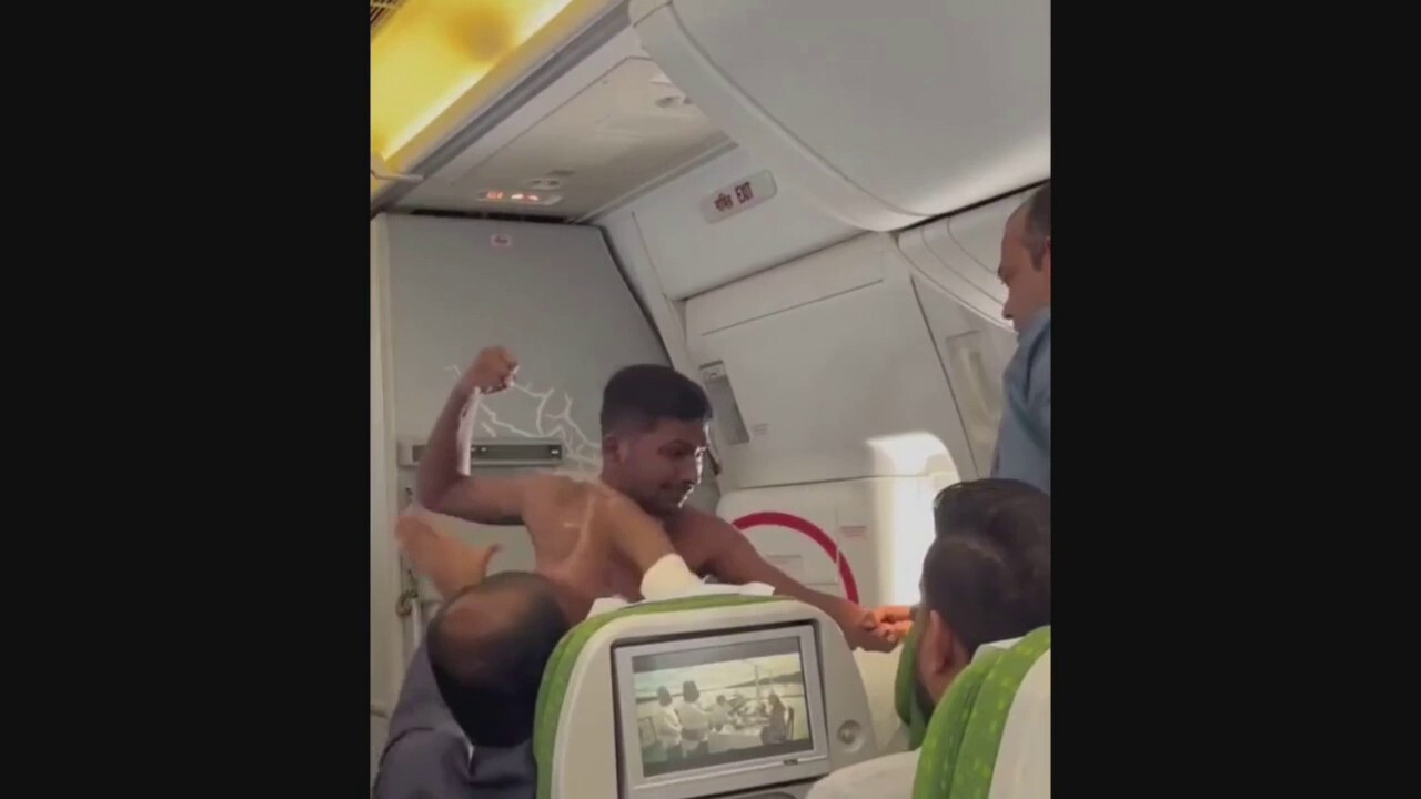 Shirtless man goes viral after brawl with another man aboard plane