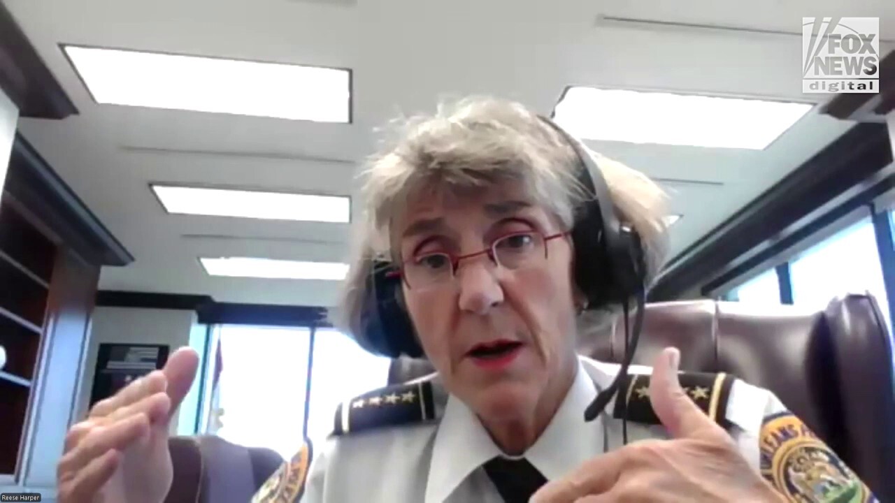 New Orleans police chief cheers nearly 50% decrease in murders, says she is 'proud' of NOPD