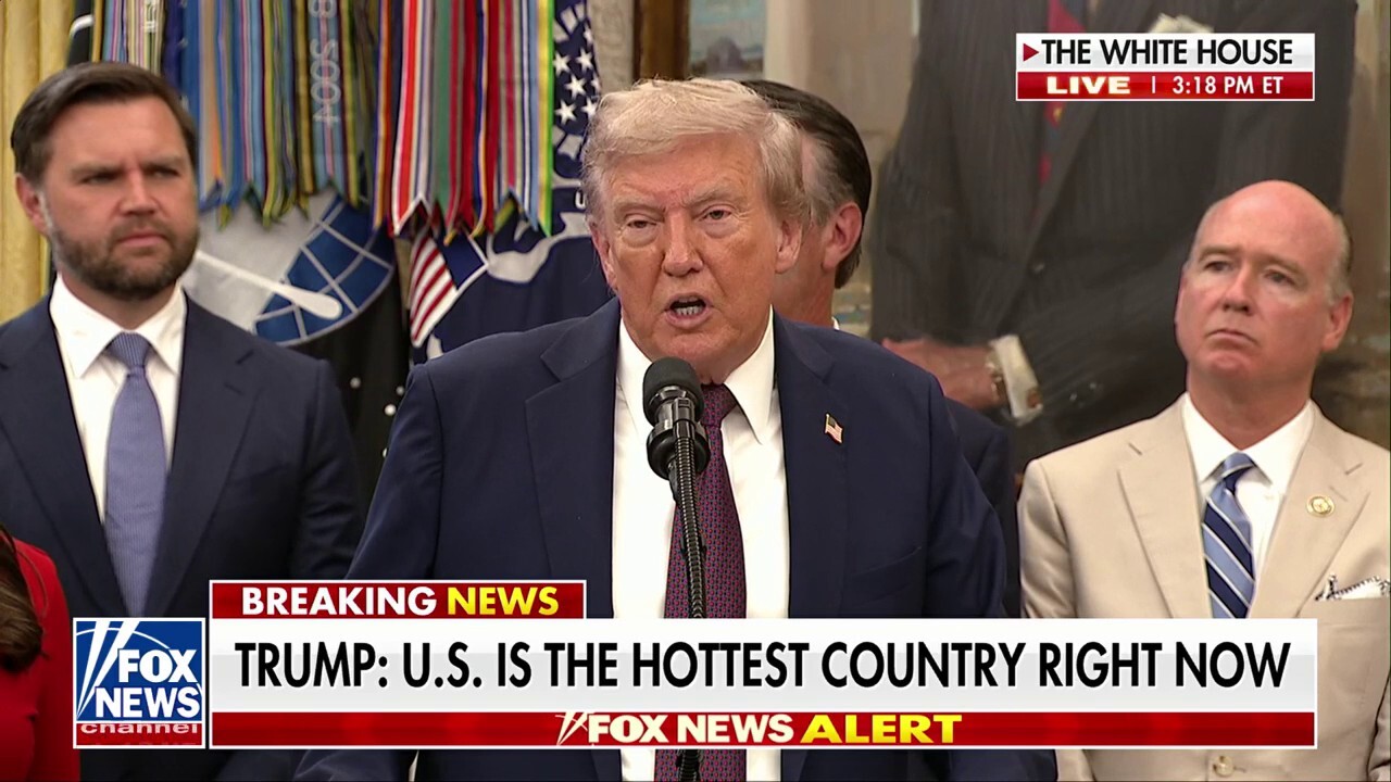 President Donald Trump addresses the federal appeals court ruling against his tariffs during a press conference.