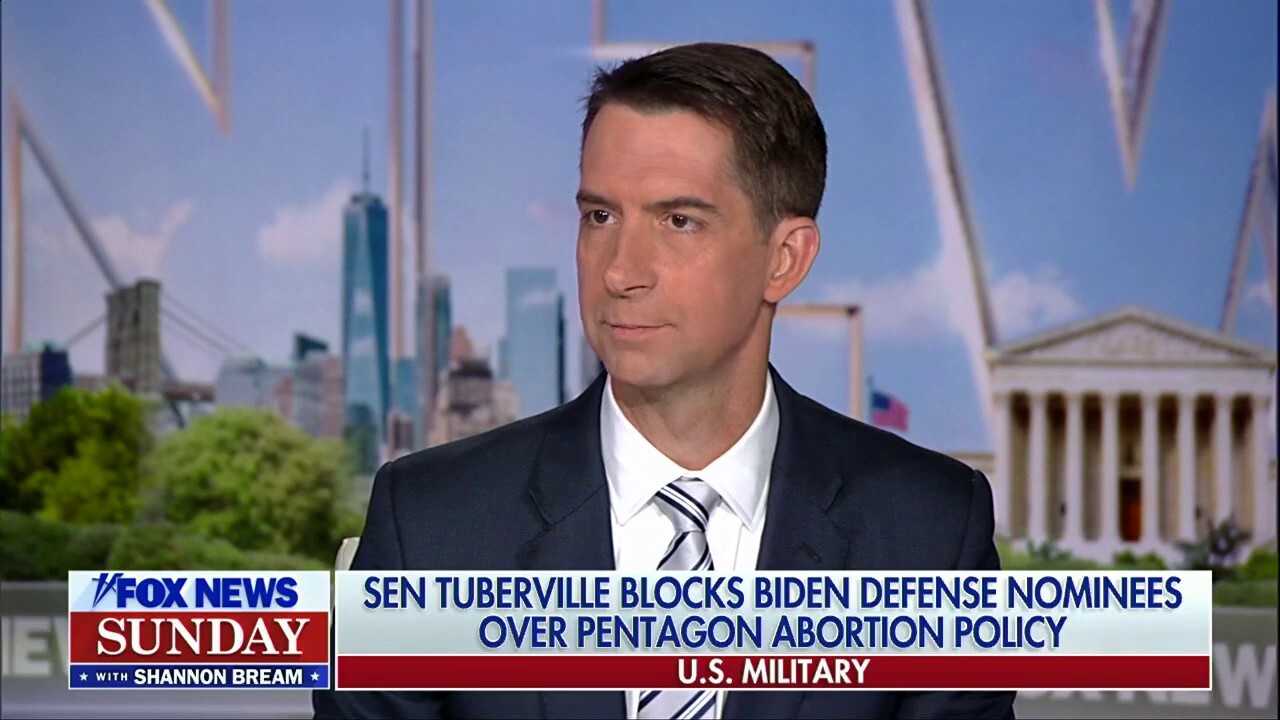 Sen. Tom Cotton blasts Democrats for 'politicizing' the military with gender-affirming care, abortion
