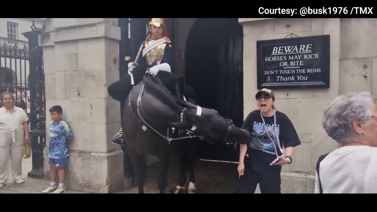 King Charles III’s guard horse bites tourist on arm