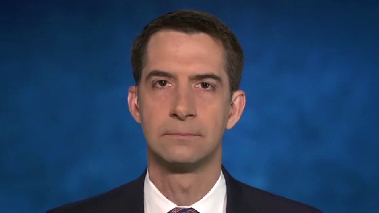 Sen. Cotton explains why it's 'so imperative' for the Biden admin 'to hold Chinese Communist Party accountable'