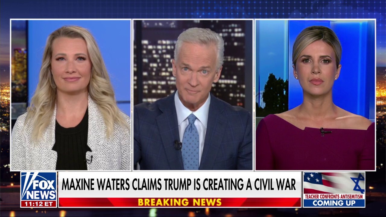 Maxine Waters is a 'paid protester' at this point, says Caroline Sunshine