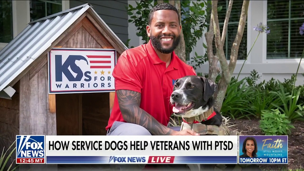 Army Veteran David Crenshaw on how his service dog helped him combat PTSD