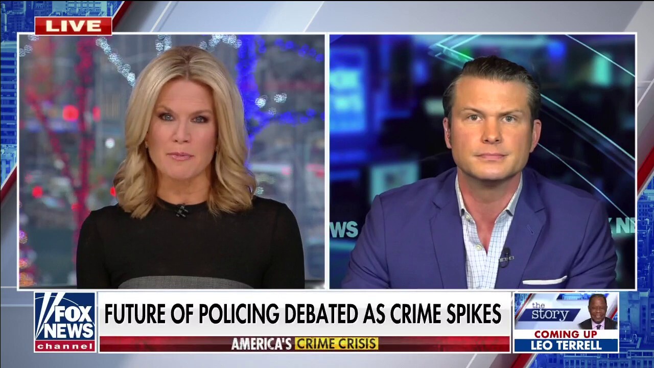 Hegseth: Black Lives Matter movement supports crime and division