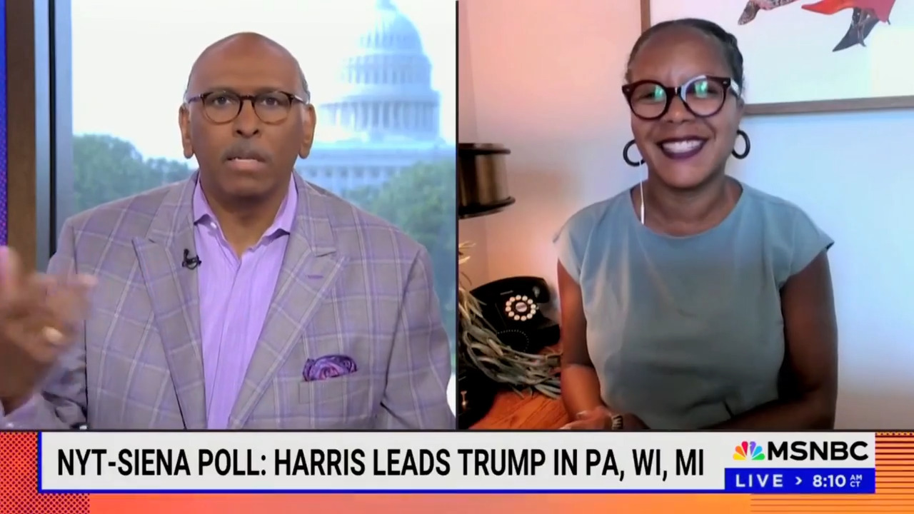 MSNBC's Michael Steele wonders whether Harris should talk to the press if she's doing well 'without them'