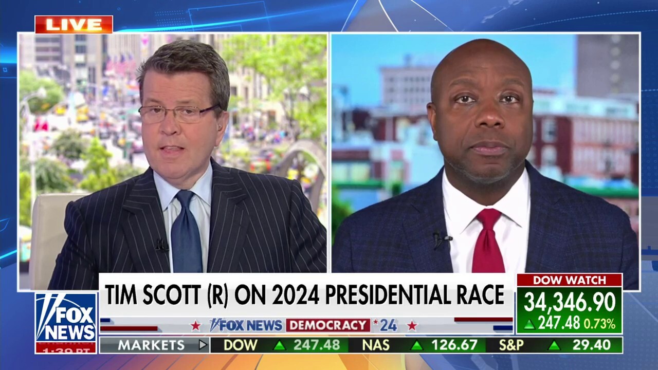 My candidacy scares the radical left: Sen. Tim Scott | Fox News Video