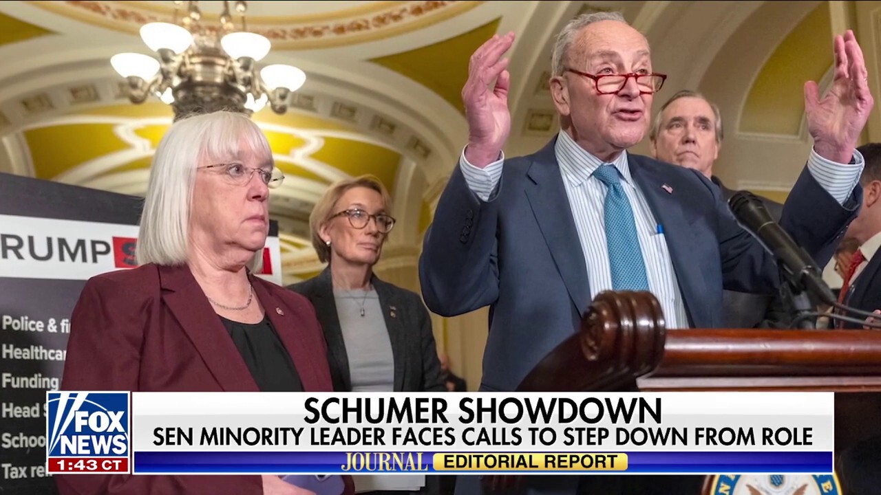  Chuck Schumer under siege by his fellow Democrats