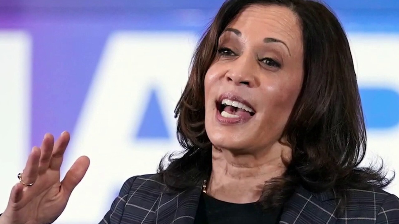 Kamala Harris should have visited border, not Milwaukee, Sen. Johnson and other Wisconsin Republicans say