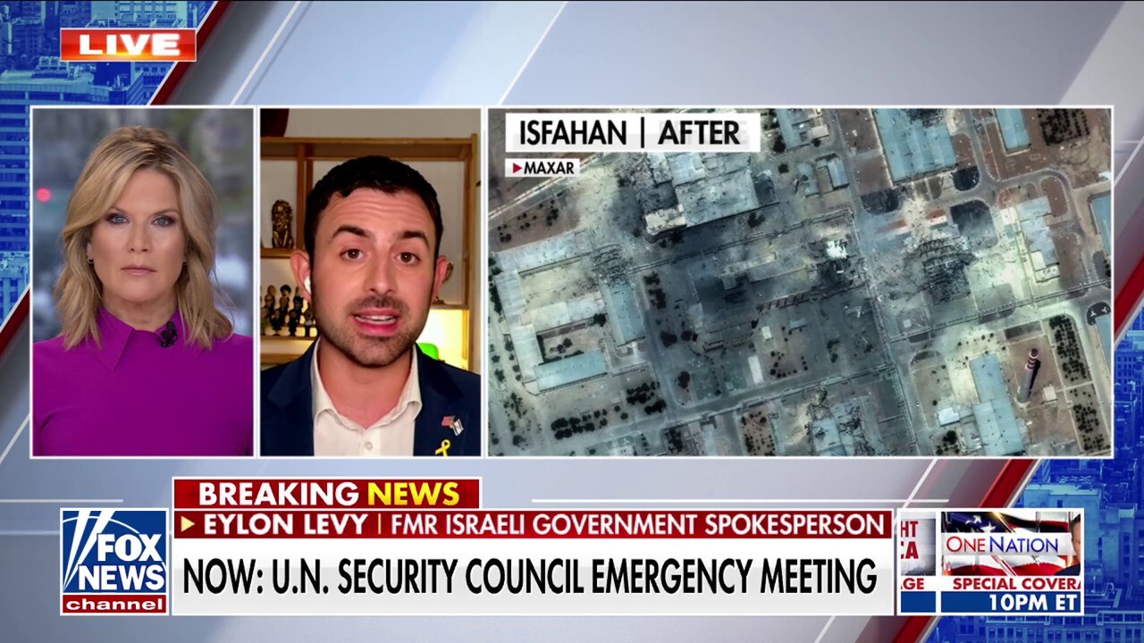 'Game over': Former Israeli spokesperson calls for peace with Iran 