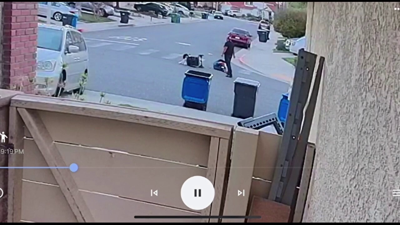 Смущаващо видео показва шокиращ момент, в който мъж от Калифорния, който бута бебешка количка, е ударен с юмрук при произволна атака