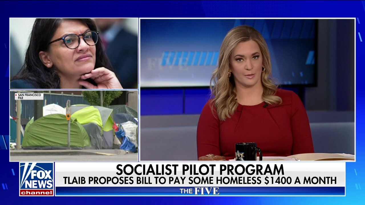 We’ve spent billions and tripled the homeless population: Watters