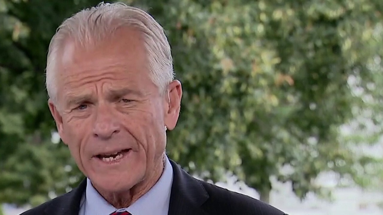 Navarro on 'China problem': Left-wing media refuses to assign any blame to China, 'it's bizarre' 