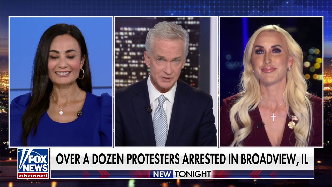 At least 11 arrested outside ICE facility in Illinois