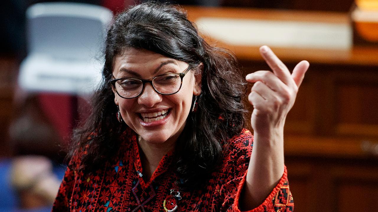 Democrat Rep. Rashida Tlaib, who called Trump an expletive during an impeachment pitch, doubles down on the remark