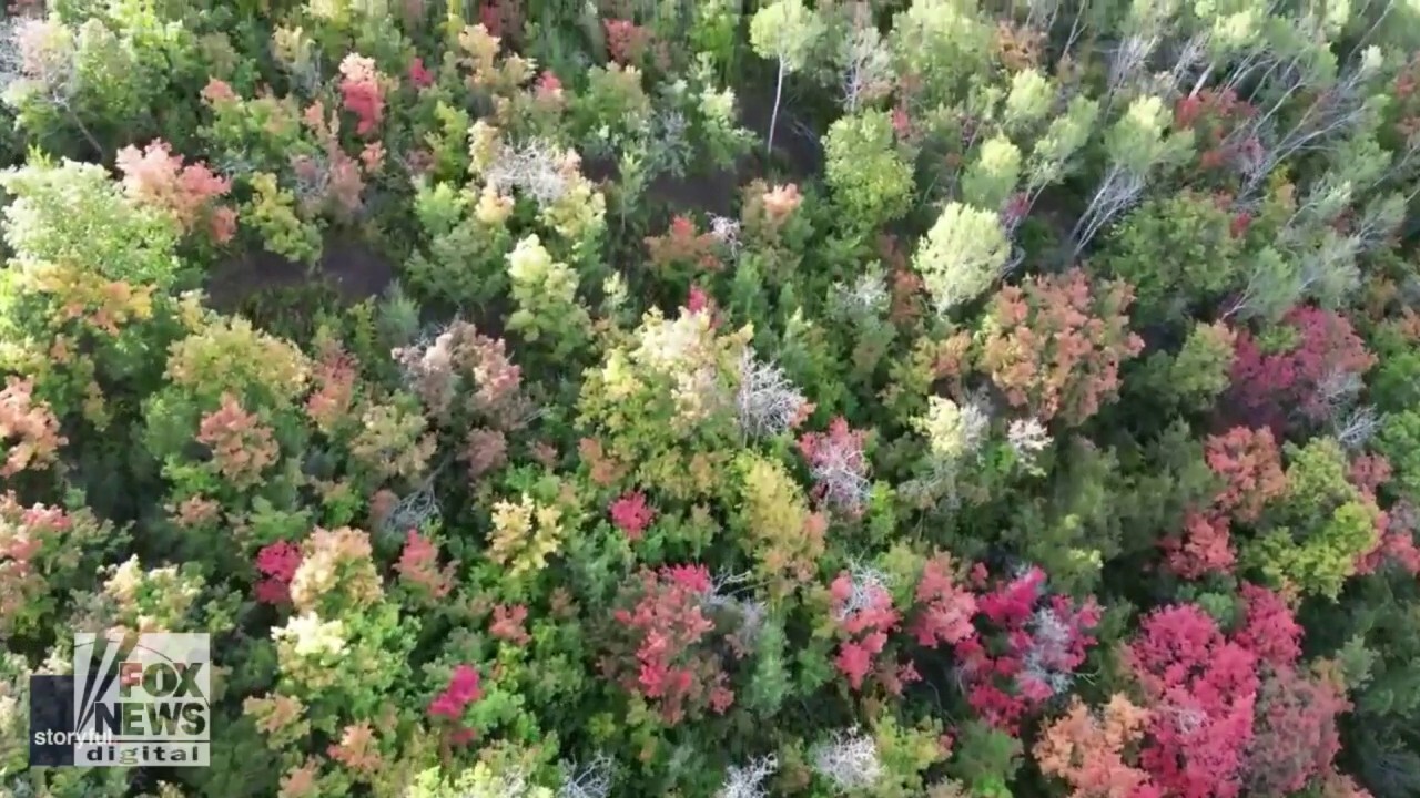 Stunning drone footage shows beautiful fall foliage — check this out