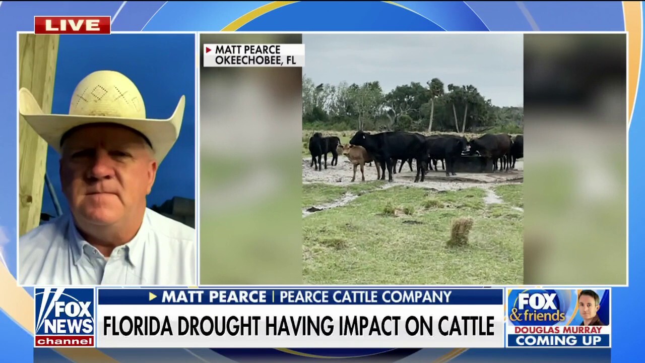 Deepening Florida drought hits ranchers, growers