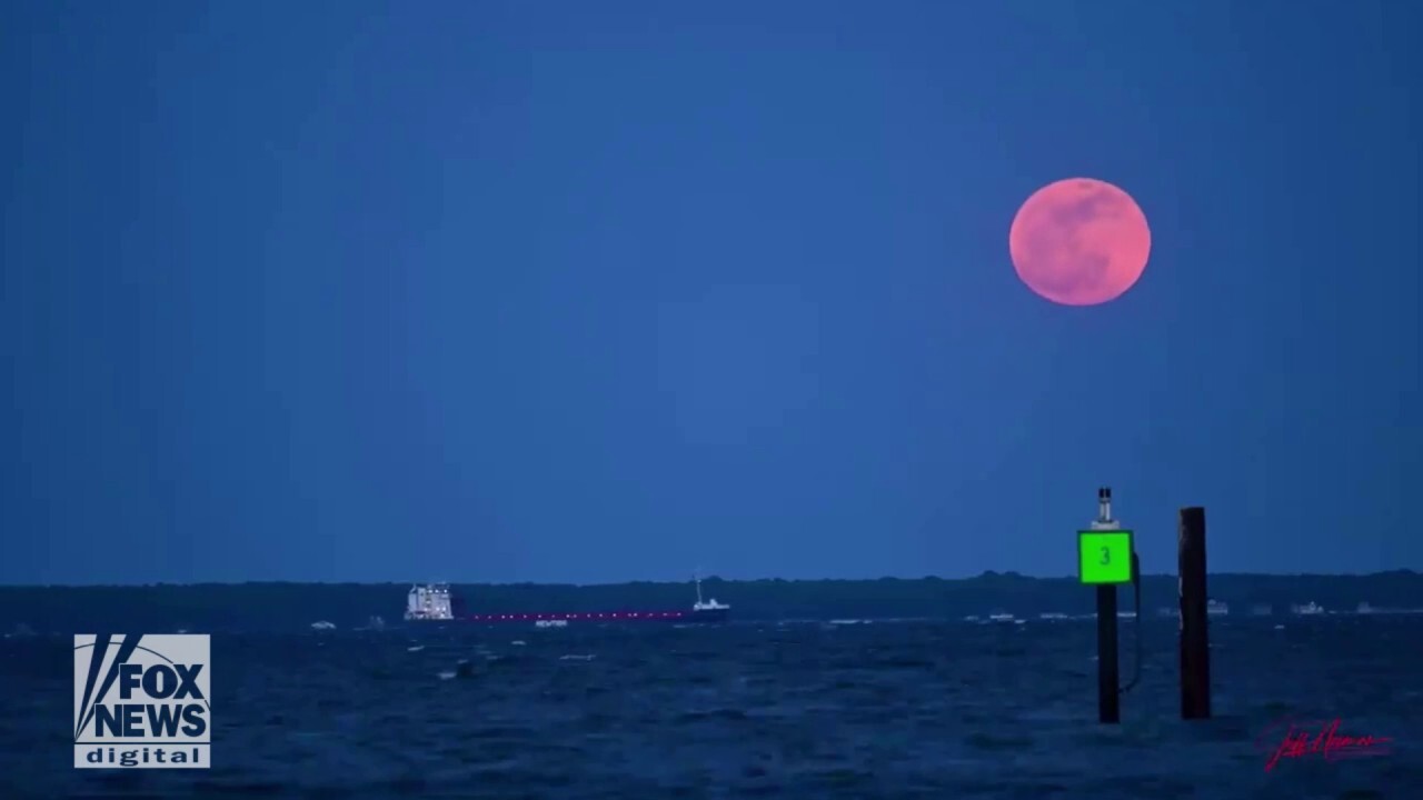 April’s pink moon captured on full display over Chesapeake Bay