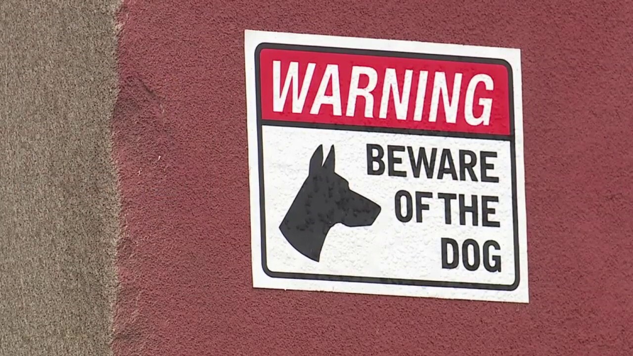 Man fatally mauled by pit bulls inside Detroit building